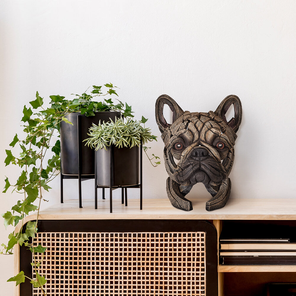 Edge French Bulldog styled display view – SKU EE6011506