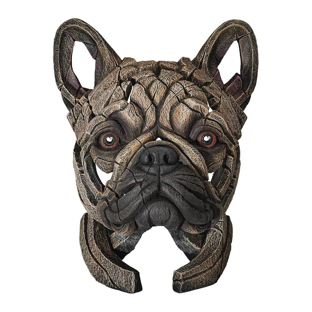 Edge French Bulldog white-background front view – SKU EE6011506