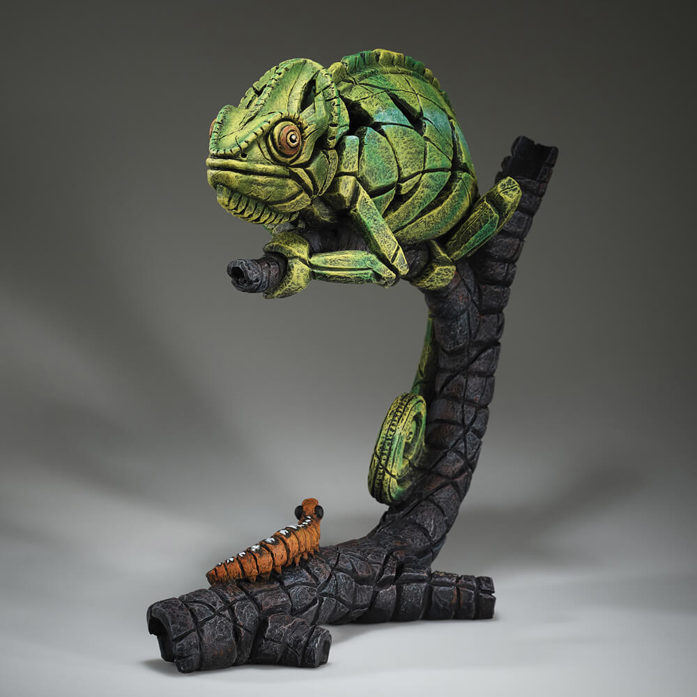 Edge Chameleon three-quarter view – SKU EE6011803